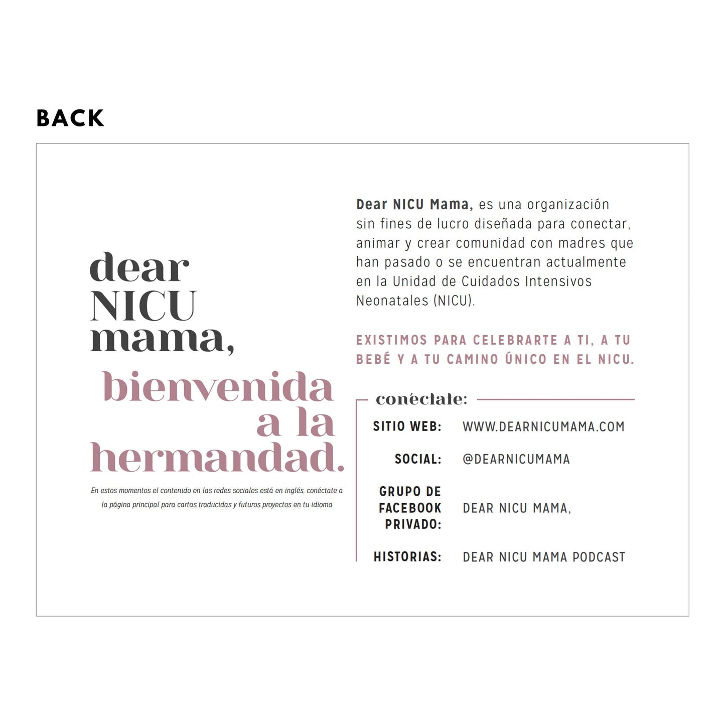 DNM Connection Cards - Spanish