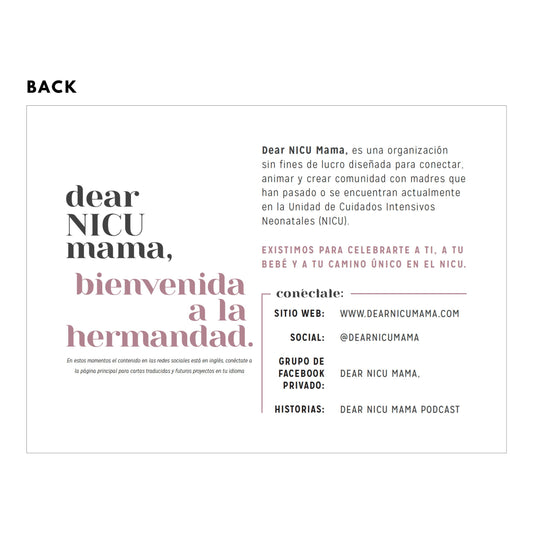 DNM Connection Cards - Spanish